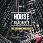 House Blackout Vol 7 (Best Selection Of House Tracks)