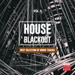 House Blackout Vol 6 (Best Selection Of House Tracks)