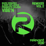 Vibe'N Remixes Vol 2