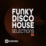 Funky Disco House Selections Vol 06
