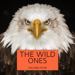 The Wild Ones Vol 4