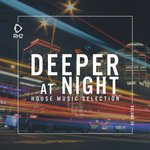 Deeper At Night Vol 39