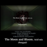 Prequel The Moon & Bloom Asid Mix EP