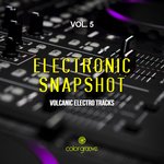 Electronic Snapshot Vol 5 (Volcanic Electro Tracks)