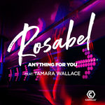 Anything For You (Mixes)