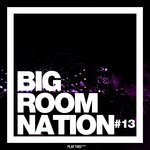 Big Room Nation Vol 13