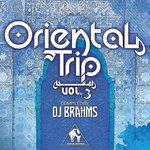 Oriental Trip Vol 3 (Compiled By DJ Brahms)