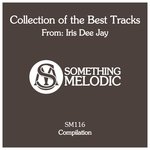Collection Of The Best Tracks From/Iris Dee Jay