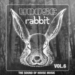 House Rabbit Vol 6
