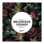 Melodious Sounds Vol 12