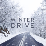 Winter Drive