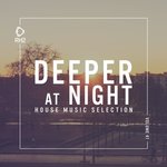 Deeper At Night Vol 41
