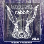 House Rabbit Vol 8