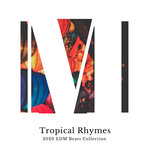 Tropical Rhymes - 2020 EDM Beats Collection