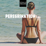 Peregrination Vol 6