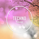 Techno House