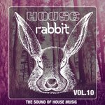 House Rabbit Vol 10