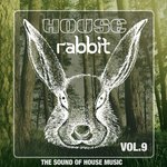 House Rabbit Vol 9