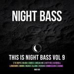 This Is Night Bass Vol 9