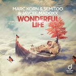 Wonderful Life (Steve Modana Remix)
