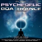 Pure Psychedelic Goa Trance: 2020 Top 10 Hits By DoctorSpook & GoaDoc Vol 1