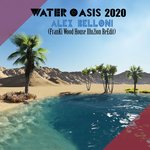 Water Oasis 2020 (FranKi Wood House Illu2ion Re-Edit)