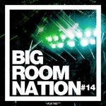 Big Room Nation Vol 14