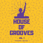 House Of Grooves Vol 1