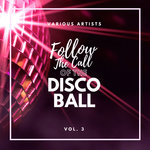 Follow The Call Of The Disco Ball Vol 3