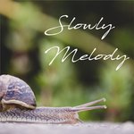 Slowly Melody (feat Fabrizio Pendesini/Filos)