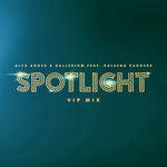 Spotlight (VIP Mix)