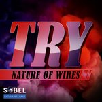 Try (Remixes)