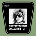 Micro Sound House Collection Vol 2