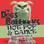 The Dogs BollXXks Hot Pop & Dance Megamix Vol 2
