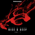 Nice & Deep Vol 1