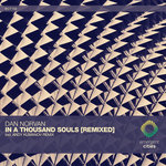 In A Thousand Souls (Remixed)