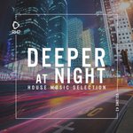 Deeper At Night Vol 43