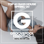 Top 40 Bass House (Spring '20)