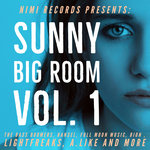 Sunny Big Room Vol 1