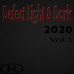 Defect Light & Dark 2020 Vol 1