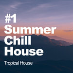 #1 Summer Chill House