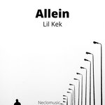 Allein (Produced By Riddiman) (Explicit)