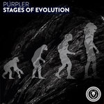 Stages Of Evolution