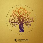 Steyoyoke Perception Vol 6