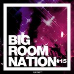 Big Room Nation Vol 15