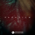 Steyoyoke Paradigm Vol 7