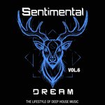Sentimental Dream Vol 6