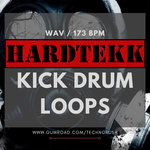124 Hardtekk Kick Drum Loops 173 BPM (Sample Pack WAV)