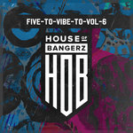 Five To Vibe To Vol 6