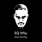 Enter The Why Vol 1 (You Got It)